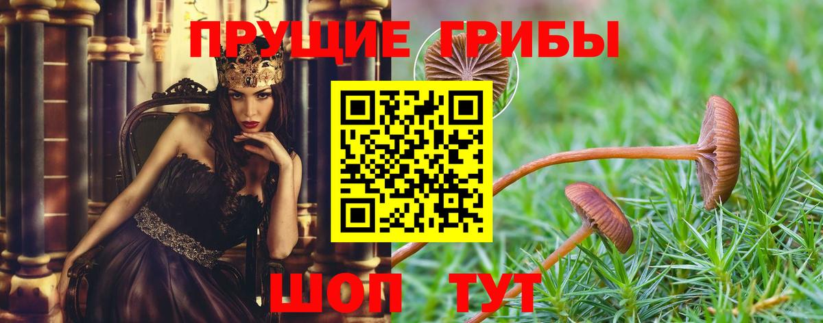Псилоцибиновые грибы ЛСД Выкса