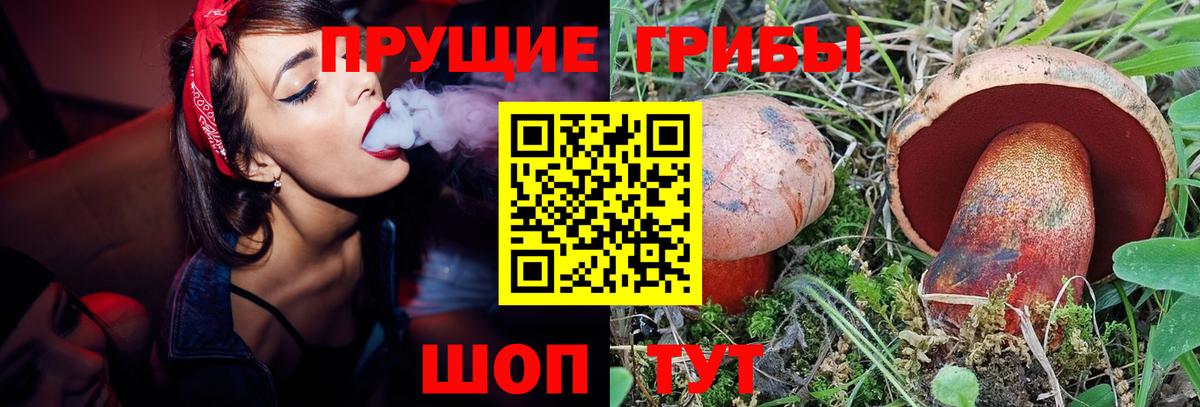 Псилоцибиновые грибы Psilocybe  Галлюциногенные грибы Cubensis  Выкса  Вход с VPN 